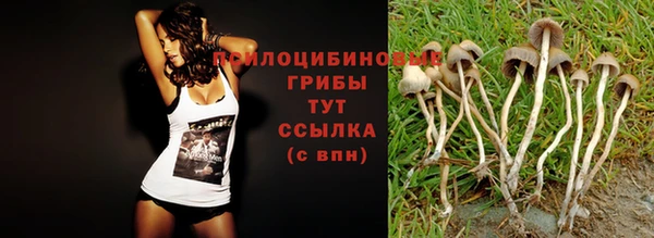 прущий лед Кукмор